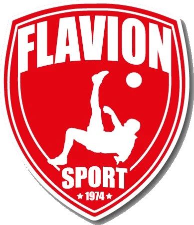 Customer logo US Flavion